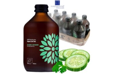 Kombucha Ogórek+Kolendra BIO 315 ml VIGO Zgrzewka 8 szt