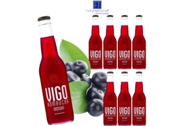 Kombucha Acai 330 ml Vigo Zgrzewka 8 szt