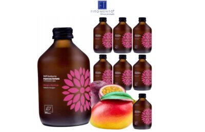 Kombucha Mango + Marakuja BIO 330 ml vigo Zgrzewka 8 szt