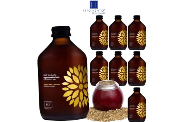 Kombucha Yerba Mate 330 ml Zgrzewka 8 szt