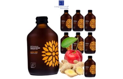 Kombucha imbir + acerola BIO 315 ml Vigo Zgrzewka 8 szt